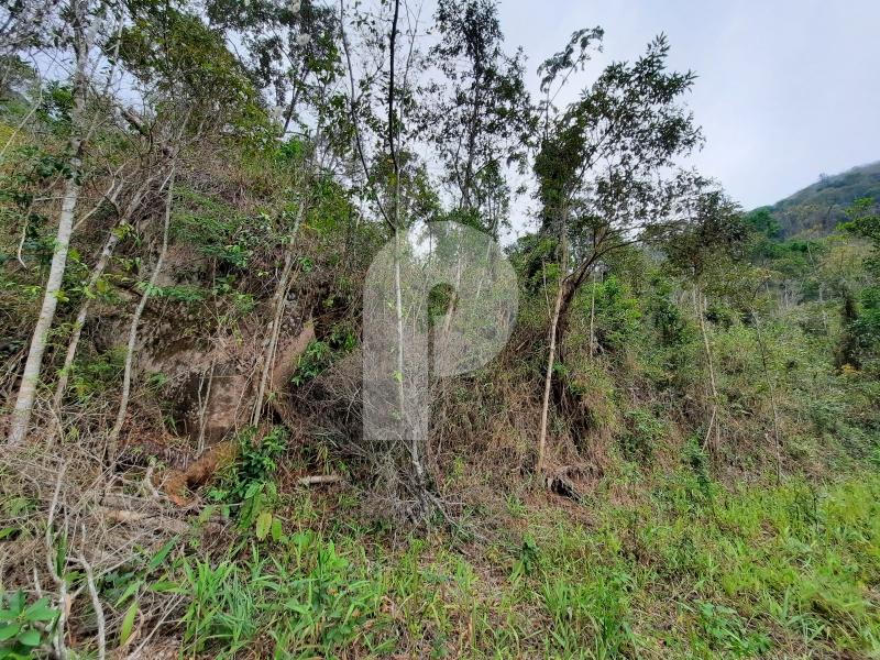 Terreno Residencial à venda em Itaipava, Petrópolis - RJ - Foto 1