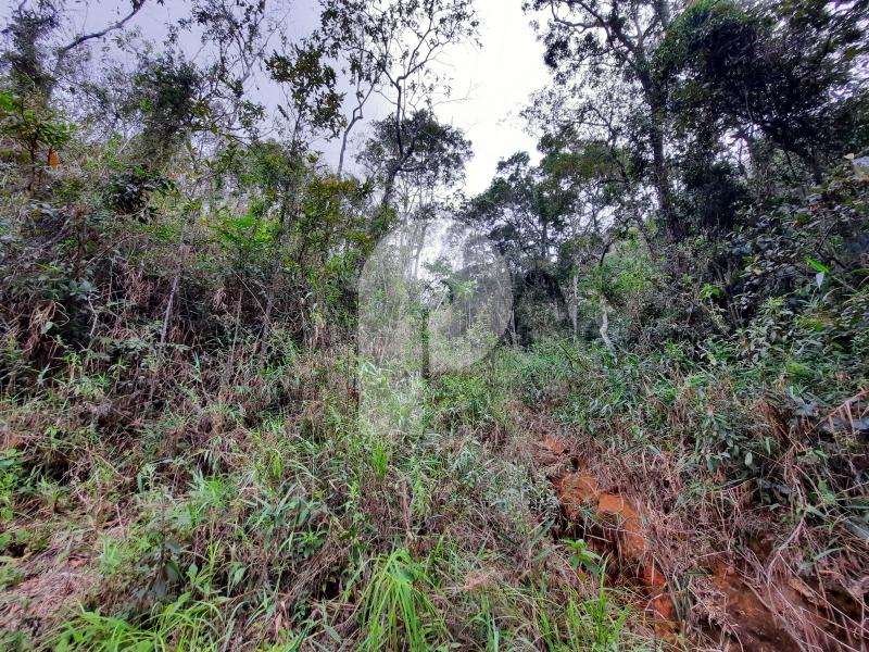 Terreno Residencial à venda em Itaipava, Petrópolis - RJ - Foto 2