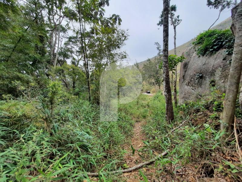Terreno Residencial à venda em Itaipava, Petrópolis - RJ - Foto 3