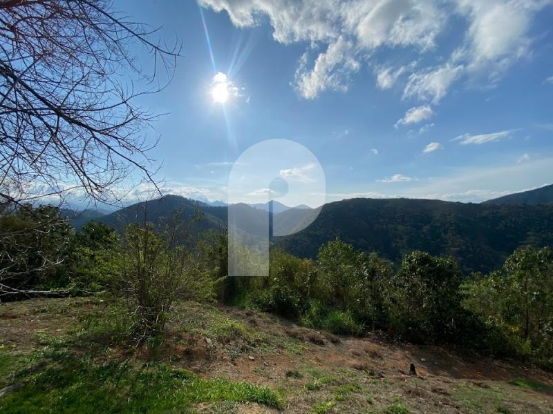 Casa à venda em Itaipava, Petrópolis - RJ - Foto 11