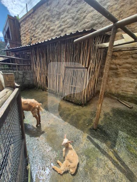 Casa à venda em Corrêas, Petrópolis - RJ - Foto 43