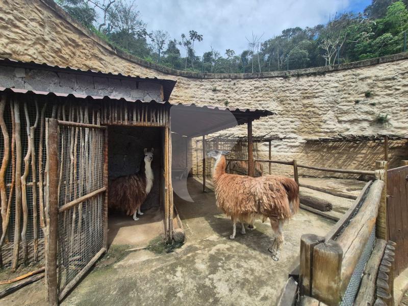 Casa à venda em Corrêas, Petrópolis - RJ - Foto 44