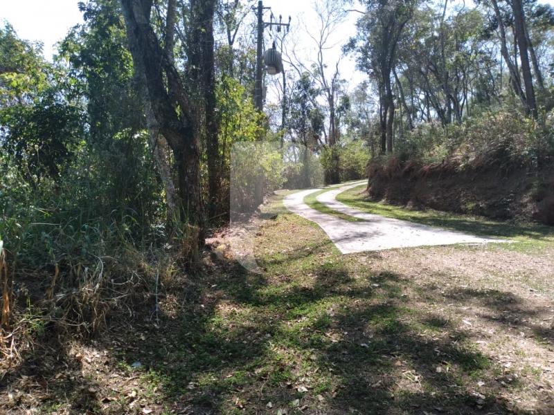 Terreno Residencial à venda em Itaipava, Petrópolis - RJ - Foto 11