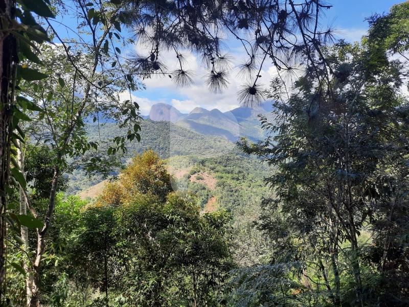 Terreno Residencial à venda em Itaipava, Petrópolis - RJ - Foto 3