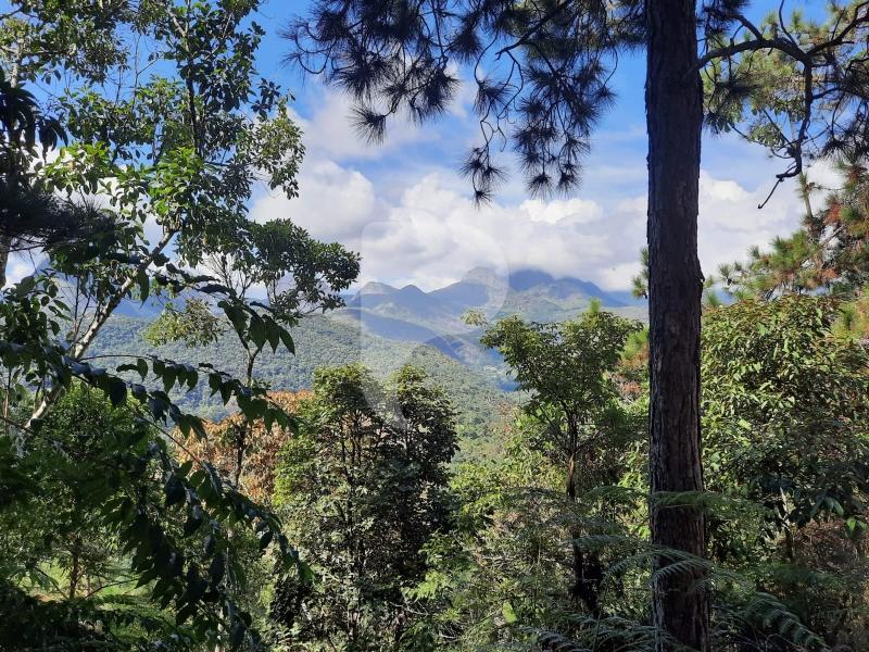 Terreno Residencial à venda em Itaipava, Petrópolis - RJ - Foto 4