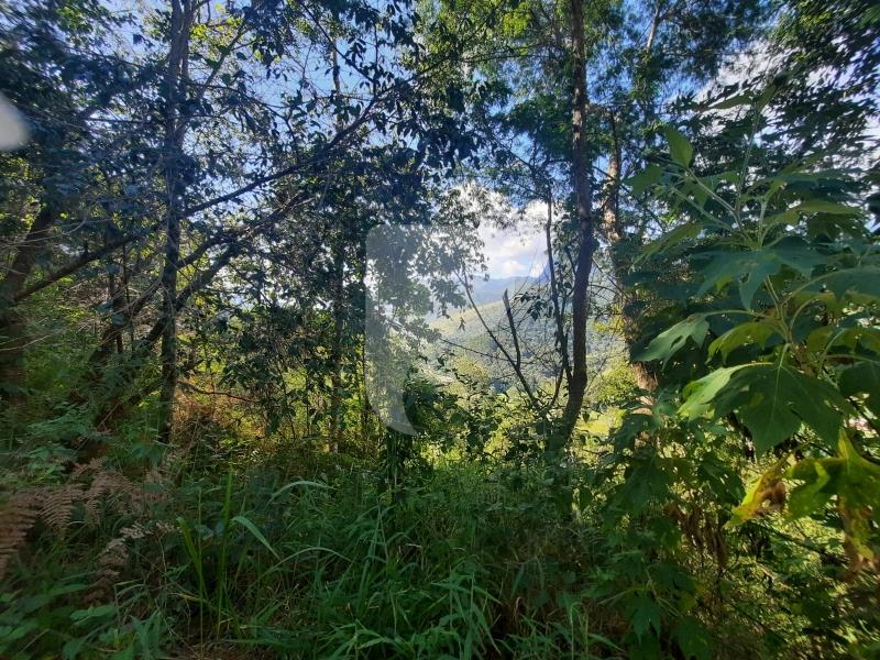 Terreno Residencial à venda em Itaipava, Petrópolis - RJ - Foto 2