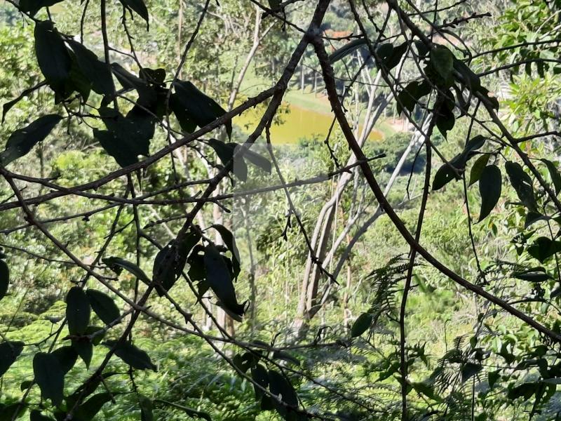 Terreno Residencial à venda em Itaipava, Petrópolis - RJ - Foto 3