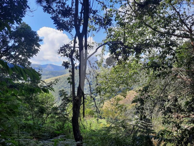 Terreno Residencial à venda em Itaipava, Petrópolis - RJ - Foto 4
