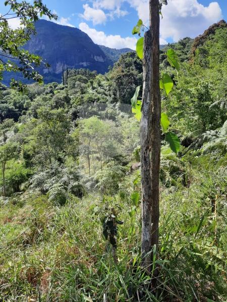Terreno Residencial à venda em Itaipava, Petrópolis - RJ - Foto 8