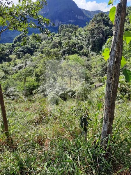 Terreno Residencial à venda em Itaipava, Petrópolis - RJ - Foto 9