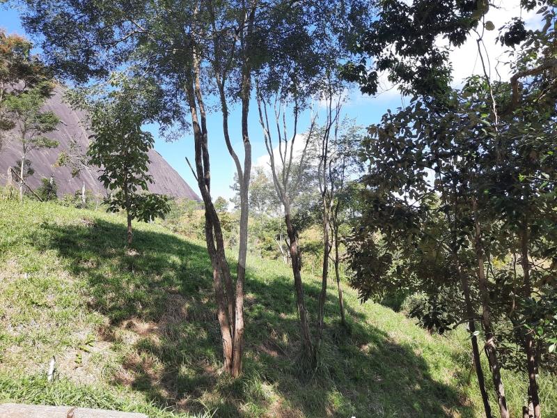Terreno Residencial à venda em Itaipava, Petrópolis - RJ - Foto 1