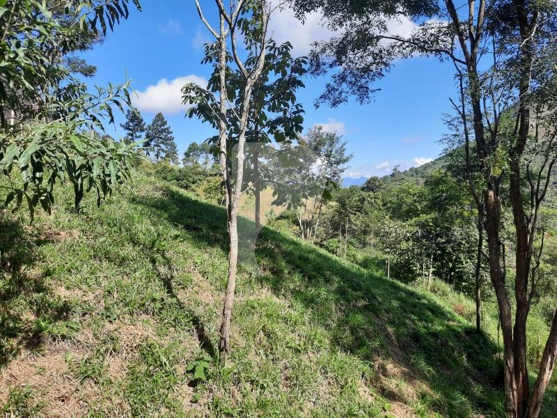 Terreno Residencial à venda em Itaipava, Petrópolis - RJ - Foto 2