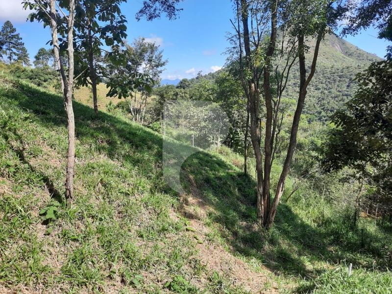 Terreno Residencial à venda em Itaipava, Petrópolis - RJ - Foto 4