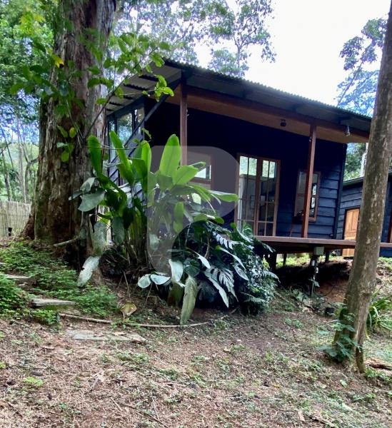 Terreno Residencial à venda em Araras, Petrópolis - RJ - Foto 11