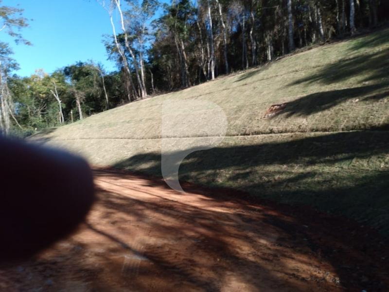 Terreno Residencial à venda em Secretário, Petrópolis - RJ - Foto 6