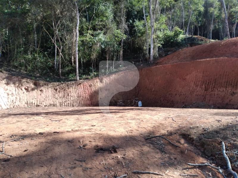 Terreno Residencial à venda em Secretário, Petrópolis - RJ - Foto 8