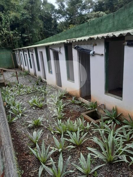 Casa à venda em Vale das Videiras, Petrópolis - RJ - Foto 14