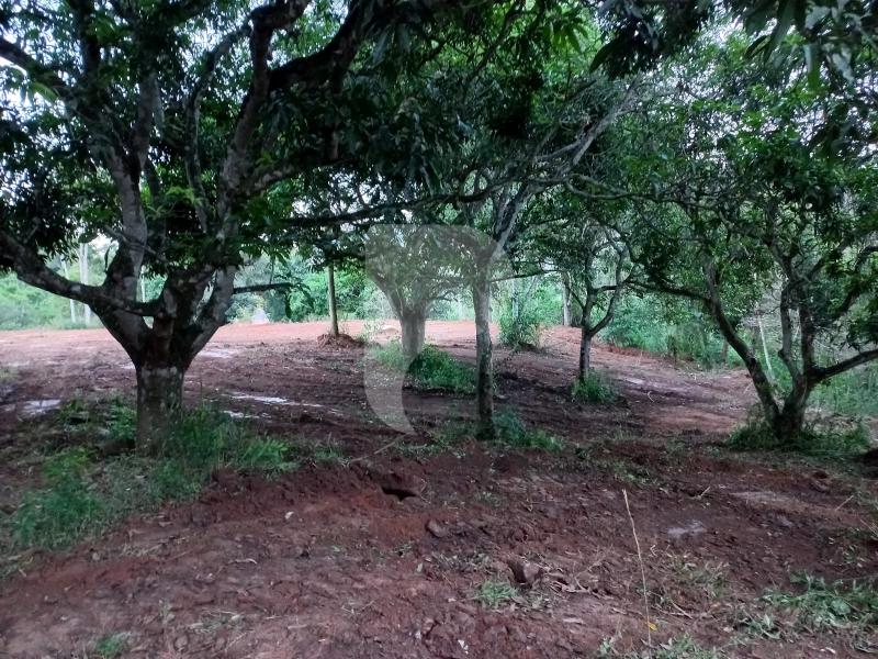 Terreno Residencial à venda em Secretário, Petrópolis - RJ - Foto 5