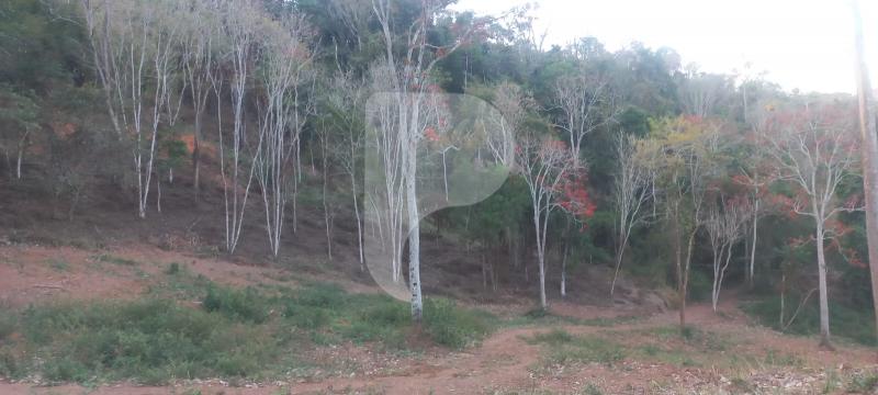 Terreno Residencial à venda em Secretário, Petrópolis - RJ - Foto 6