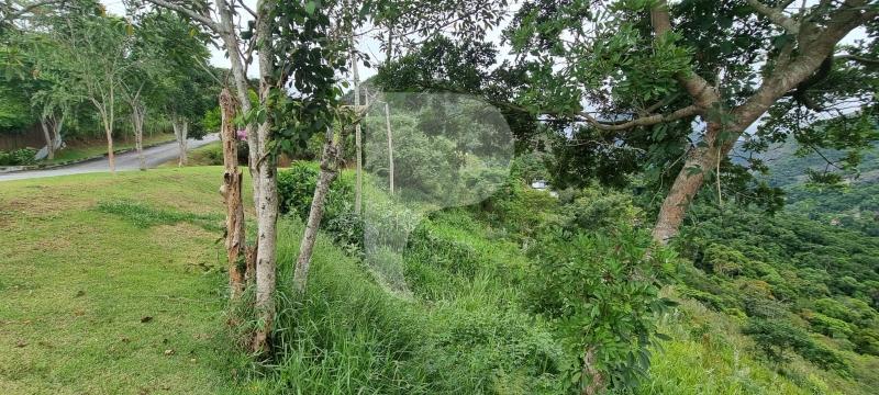 Terreno Residencial à venda em Itaipava, Petrópolis - RJ - Foto 7