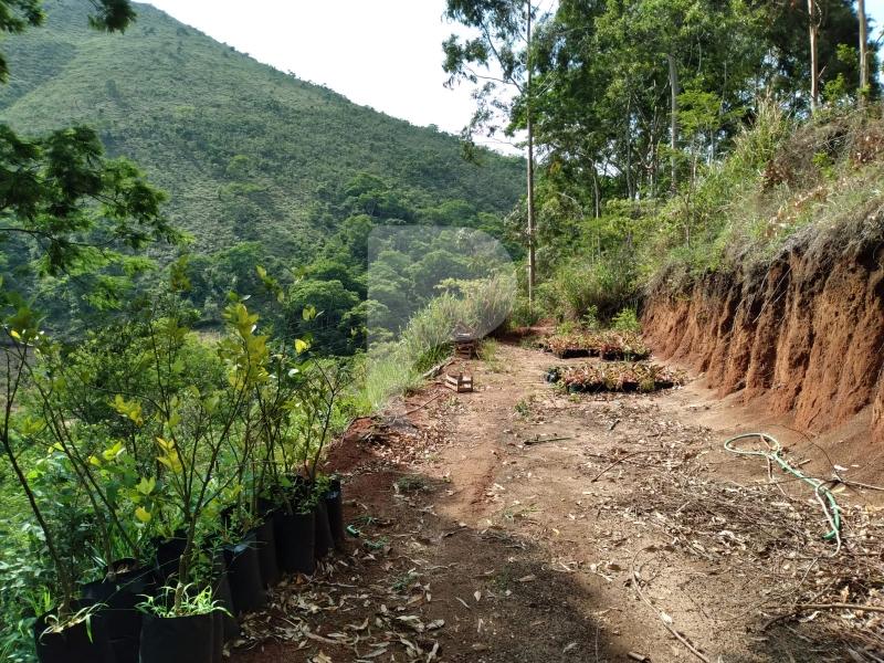 Terreno Residencial à venda em Posse, Petrópolis - RJ - Foto 10