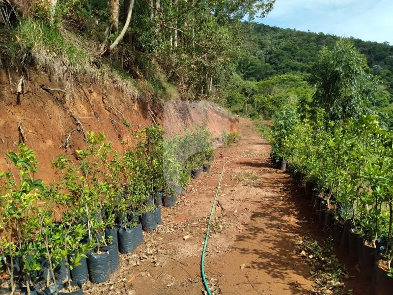Terreno Residencial à venda em Posse, Petrópolis - RJ - Foto 11