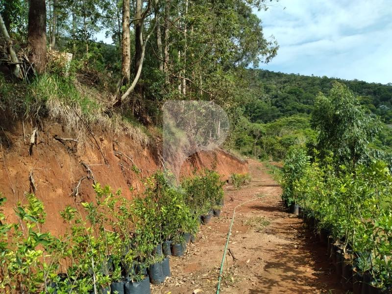 Terreno Residencial à venda em Posse, Petrópolis - RJ - Foto 13