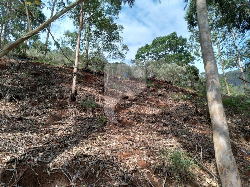 Terreno Residencial à venda em Posse, Petrópolis - RJ - Foto 15