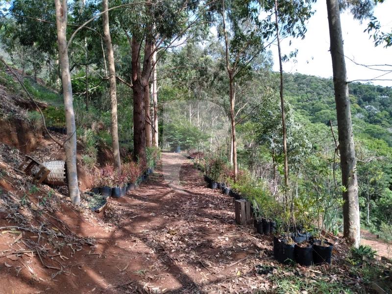 Terreno Residencial à venda em Posse, Petrópolis - RJ - Foto 16