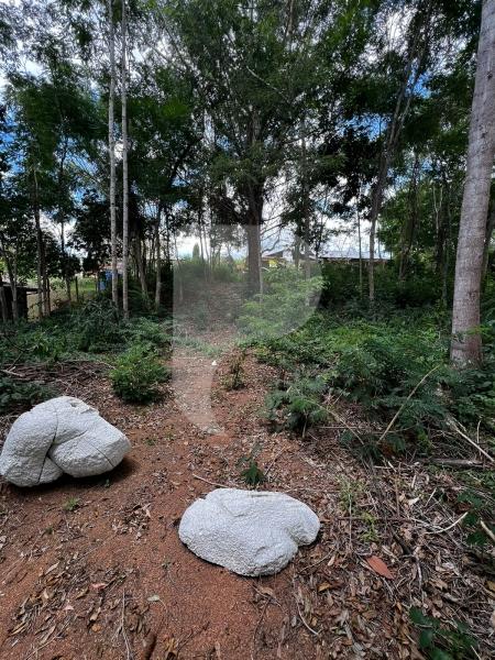 Terreno Residencial à venda em Pedro do Rio, Petrópolis - RJ - Foto 1