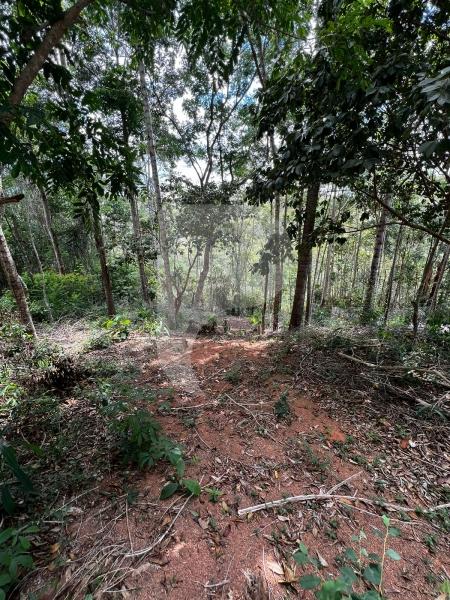 Terreno Residencial à venda em Pedro do Rio, Petrópolis - RJ - Foto 2