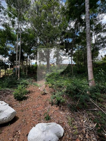 Terreno Residencial à venda em Pedro do Rio, Petrópolis - RJ - Foto 3