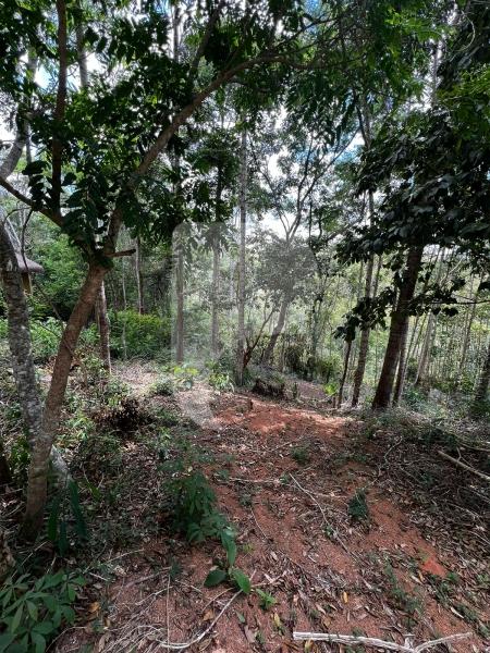 Terreno Residencial à venda em Pedro do Rio, Petrópolis - RJ - Foto 4