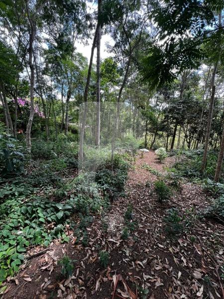 Terreno Residencial à venda em Pedro do Rio, Petrópolis - RJ - Foto 5