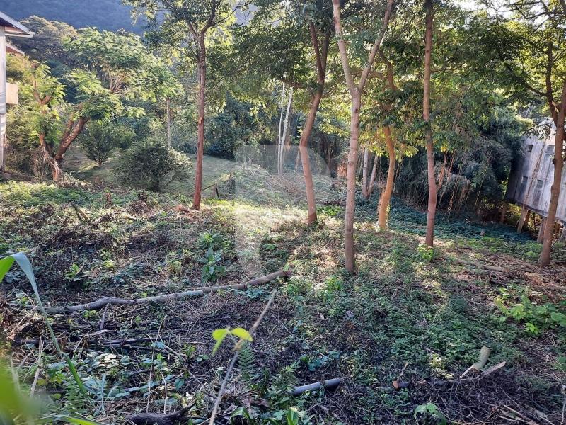 Terreno Comercial à venda em Itaipava, Petrópolis - RJ - Foto 14