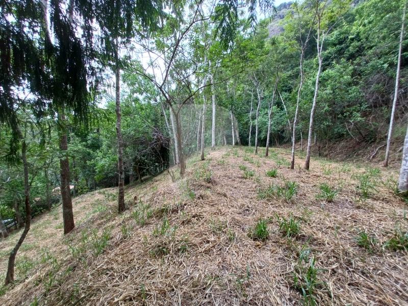 Terreno Residencial à venda em Itaipava, Petrópolis - RJ - Foto 1