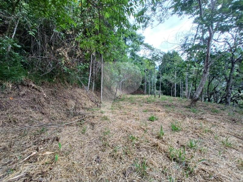 Terreno Residencial à venda em Itaipava, Petrópolis - RJ - Foto 2