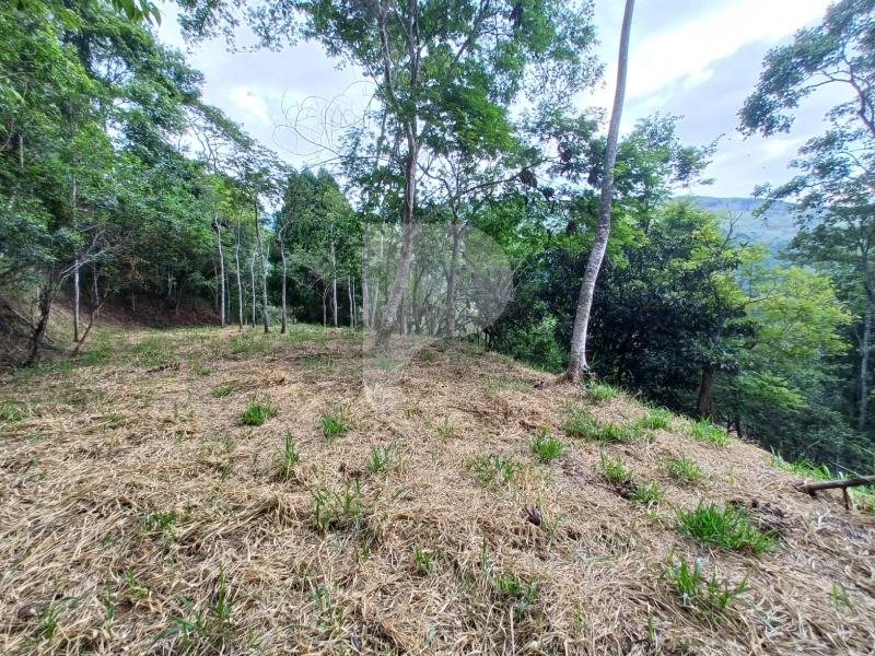 Terreno Residencial à venda em Itaipava, Petrópolis - RJ - Foto 3