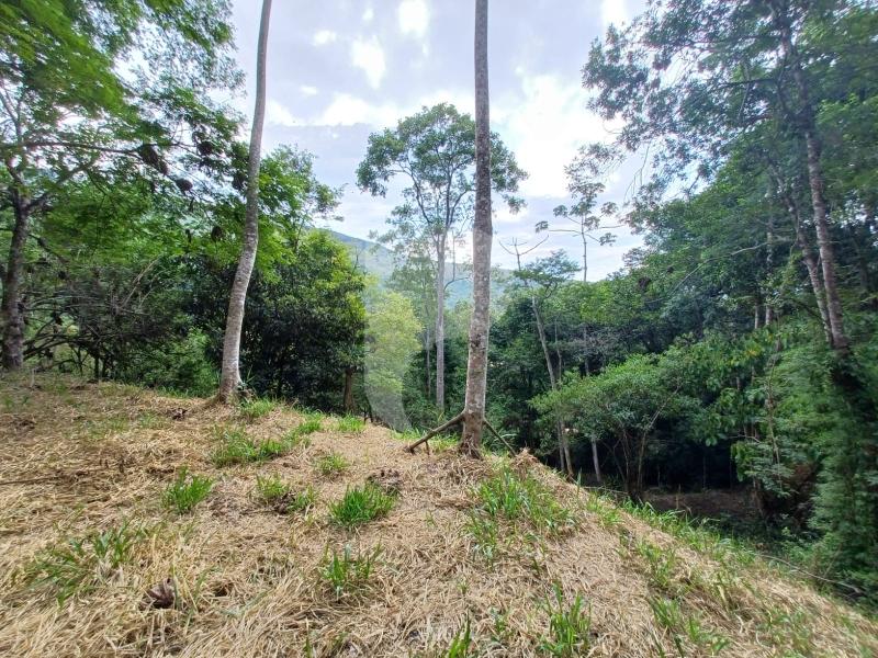 Terreno Residencial à venda em Itaipava, Petrópolis - RJ - Foto 4