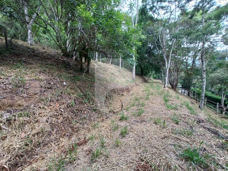 Terreno Residencial à venda em Itaipava, Petrópolis - RJ - Foto 6