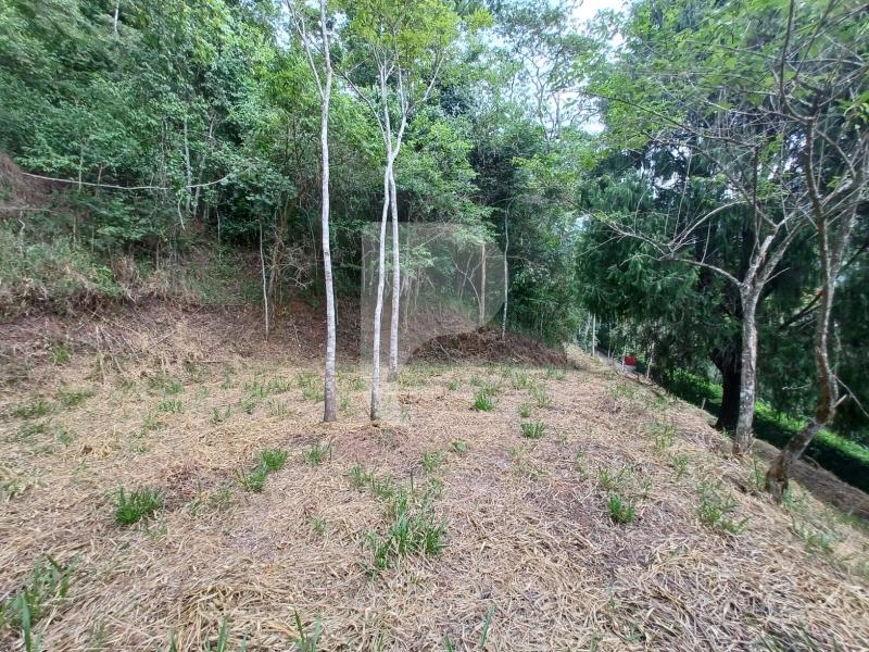 Terreno Residencial à venda em Itaipava, Petrópolis - RJ - Foto 7