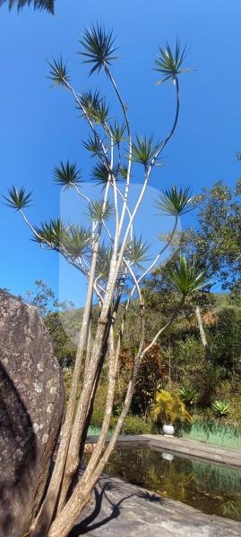 Casa à venda em Araras, Petrópolis - RJ - Foto 17
