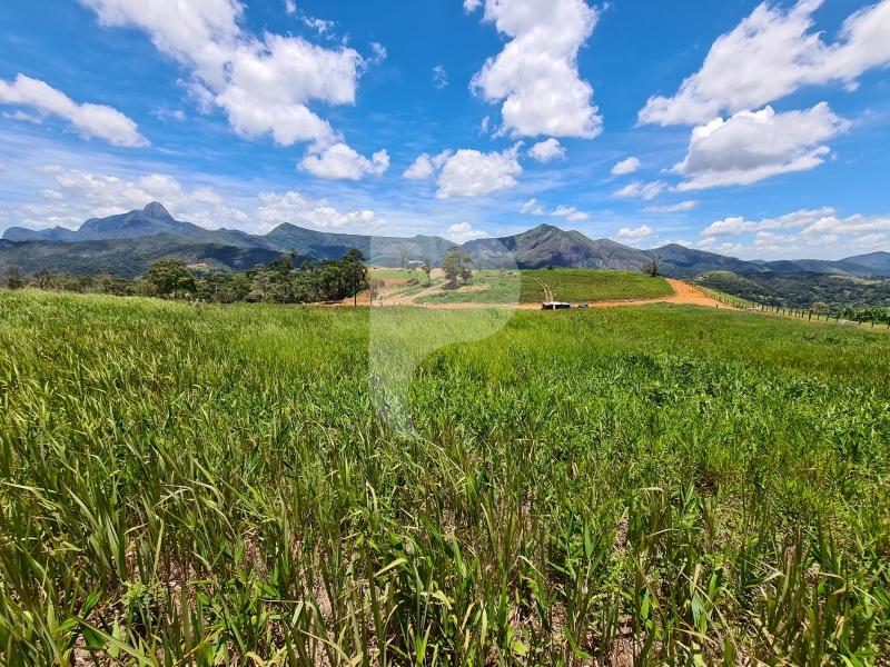Terreno Residencial à venda em Itaipava, Petrópolis - RJ - Foto 3