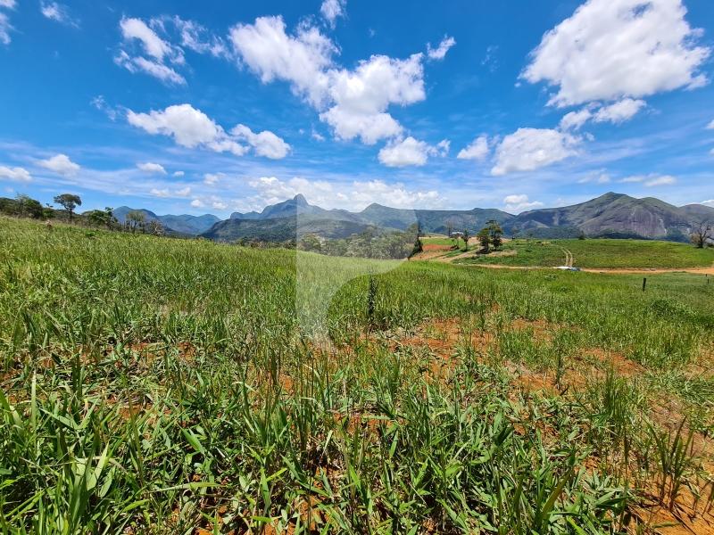 Terreno Residencial à venda em Itaipava, Petrópolis - RJ - Foto 4