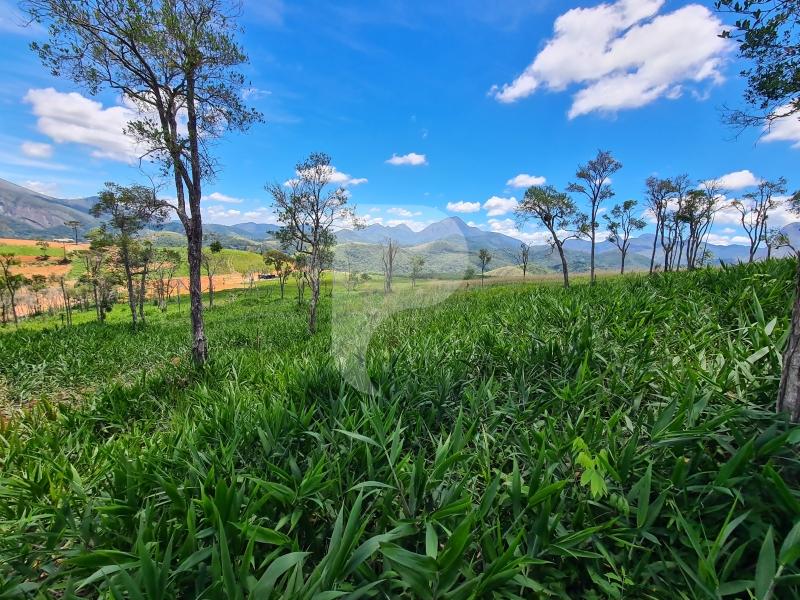 Terreno Residencial à venda em Itaipava, Petrópolis - RJ - Foto 1