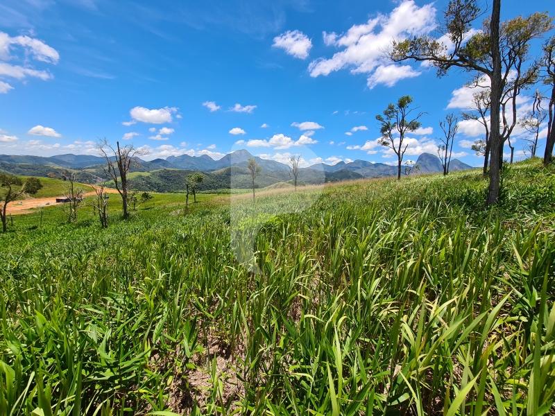 Terreno Residencial à venda em Itaipava, Petrópolis - RJ - Foto 2
