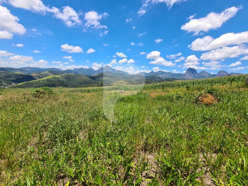 Terreno Residencial à venda em Itaipava, Petrópolis - RJ - Foto 2