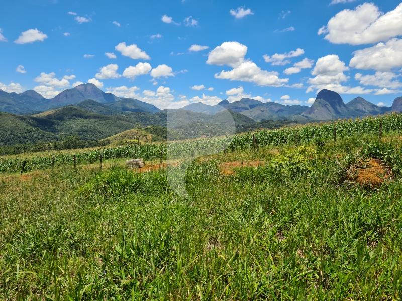 Terreno Residencial à venda em Itaipava, Petrópolis - RJ - Foto 3