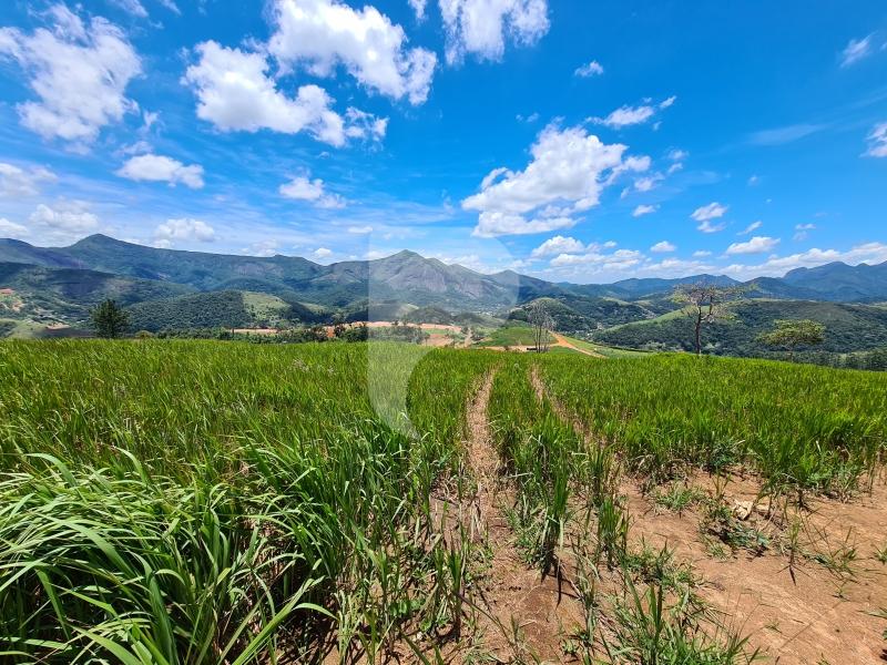 Terreno Residencial à venda em Itaipava, Petrópolis - RJ - Foto 2