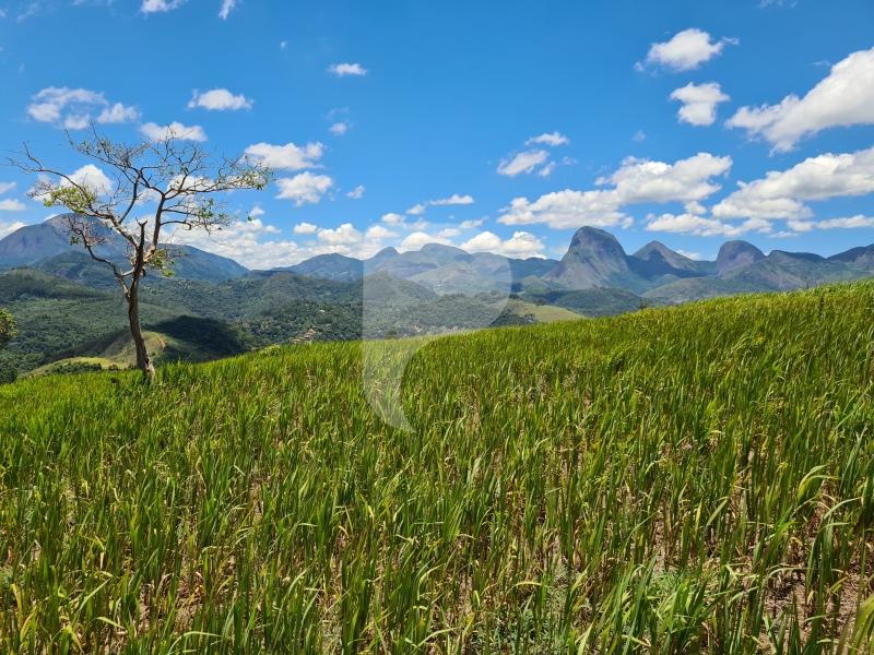 Terreno Residencial à venda em Itaipava, Petrópolis - RJ - Foto 3